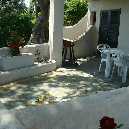 L'alivetu Olmeto (Corsica)