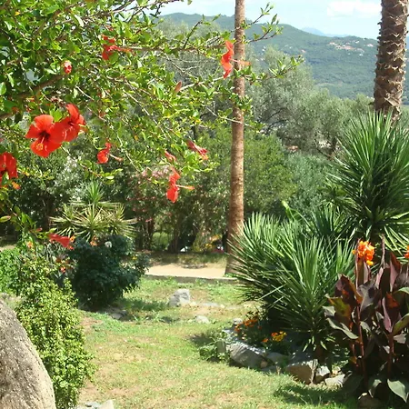 L'alivetu Apartment Olmeto (Corsica)